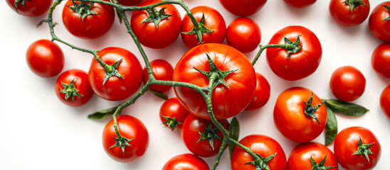 Wall Mural - Red Ripe Tomatoes on Vine