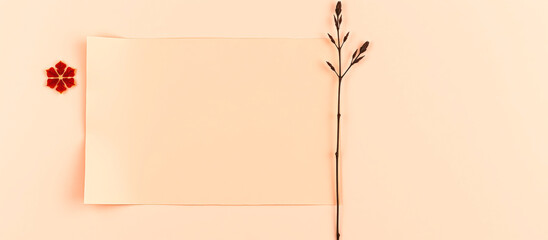 Poster - Minimalist Still Life with Dried Flowers and Paper