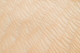 Fototapeta Koty - Sand with natural pattern. Beach sand background with natural wave pattern