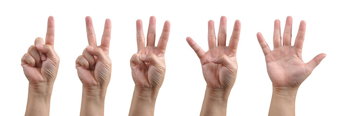 group of hand show one, two, three, four and five finger gesture for counting number in communicatio