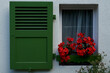 © Div - Flowers perched on green window