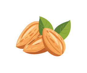 Wall Mural - Cartoon Almonds. Flat Vector Illustration of Crunchy Almond Snacks. Raw Almonds in Shell on White Background