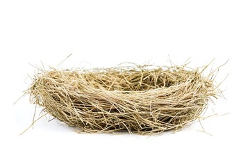 Wall Mural - bird nest isolated on white background