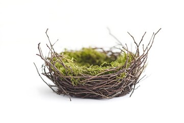 Wall Mural - Bird nest isolated.