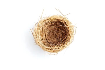 Wall Mural - Horizontal shot of an Empty Bird's Nest on a White Background With Shadow.