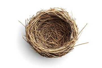 Wall Mural - Horizontal shot of an Empty Bird's Nest on a White Background With Shadow.