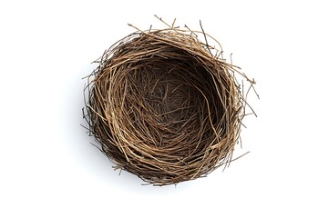 Wall Mural - Horizontal shot of an Empty Bird's Nest on a White Background With Shadow.