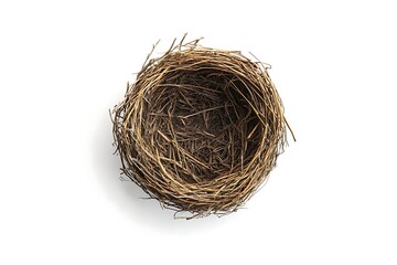 Wall Mural - Horizontal shot of an Empty Bird's Nest on a White Background With Shadow.