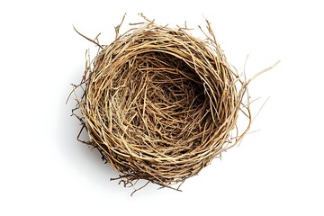 Wall Mural - Horizontal shot of an Empty Bird's Nest on a White Background With Shadow.