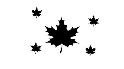 Poster - Zoom in and out animation the maple leaf symbol. Large black symbol in the center and four small symbols around. Seamless looped 4k animation on white background
