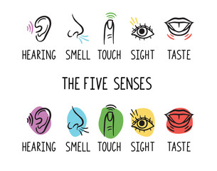 5 human senses illustrations. Taste, sight, touch, smell and hearing. Tongue, eye, finger, nose and ear. Trendy doodle hand drawn thin line icon 