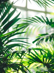 Poster - Green Leaves in Front of Window