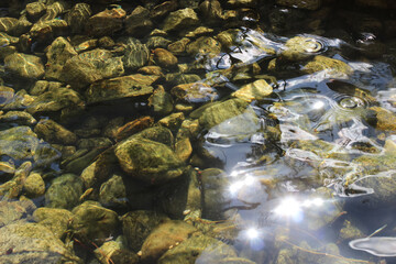 water reflection of sun light and river pebbles shining