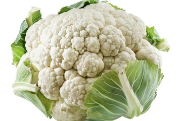 Canvas Print - A single head of cauliflower sits on a clean and simple white background