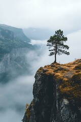 Wall Mural - Lone Tree on Cliff with Foggy Mountain View