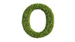 © Sofiia Bakh - 'O' letter created from green grass on transparent background