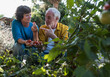 © Westend61 - Senior man with woman holding tomato in vegetable garden