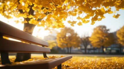 Wall Mural - Autumn park scene with a sunlit bench surrounded by vibrant yellow foliage in a tranquil background.
