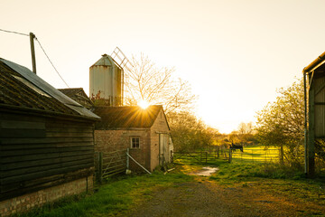 Sunset over a rural dairy farm in England. A paddock with horses can be seen and an old metal grain silo to once feed dairy cows can be seen near the abandoned milking parlour.