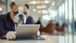 © Maksym - A bulldog in a business suit taking notes on a tablet during a conference call.
