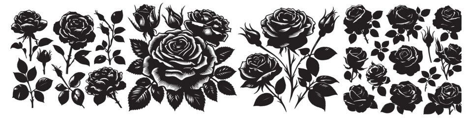 rose isolated on white background vector illustration design black and white art