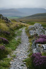 Wall Mural - Stone Path Leading Through Green Grassy Hills