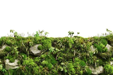 Poster - Green Mossy Stones Isolated on White Background