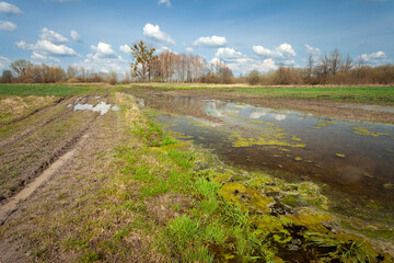 A field and a dirt road flooded with water