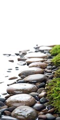 Wall Mural - Smooth Stones in Water with Green Moss