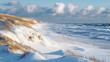 © Jamie - A winter beach scene with snow-covered dunes and icy waves lapping against the shore.