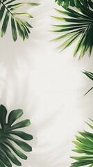 Wall Mural - Green Leaves on White Background