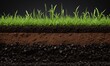 © Dmitriy - Grass growing on soil with visible layers