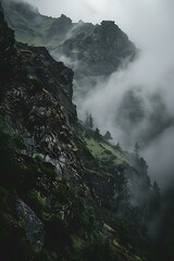 Poster - Misty Mountain Landscape with Green Foliage and Tall Pines