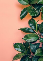 Poster - Green Leaves on Peach Background