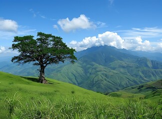 Wall Mural - Green Mountain Meadow With Single Tree