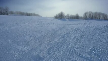 Poster - Serene winter scene with snow covered field, tire tracks, leafless trees, and cold blue sky evokes the essence of the frozen season