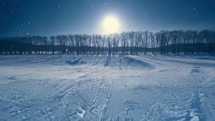 Poster - Serene winter night with a snowy field glistening under the moonlight. Ski tracks weaving through the landscape. Trees lined up under the bright moon. Cold air crisp and invigorating