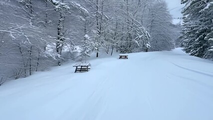 Aufkleber - Snowy landscape showing a set of picnic tables at the bottom of a hill leading into a forest covered in freshly fallen snow. The quiet winter scene evokes peace and solitude