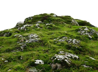 Sticker - Green Moss Covered Rocks On A Hill