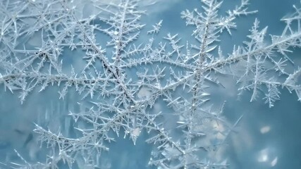 Aufkleber - Intricate frozen pattern on window creates natural ice art with delicate crystals and frost, perfect for winter themes