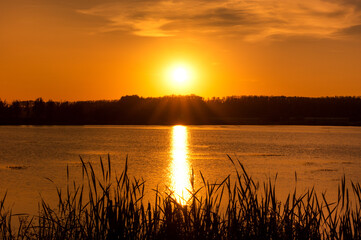 An orange sunset or dawn over water. The sun sets behind a forest or rises over a lake or river or reservoir or pond. The setting or dawn sun is reflected in the water. Reeds in the foreground