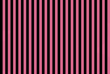 Shocking Carnation Pink color and black color background with lines. traditional vertical striped background texture..