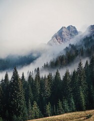 Majestic mountain peaks towering above a thick pine forest, partially covered by a veil of mist