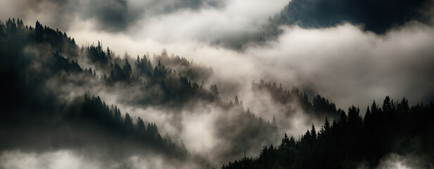 Wall Mural - misty mountain landscape