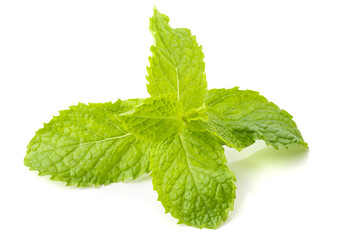 Wall Mural - Fresh mint leaf isolated on a white background