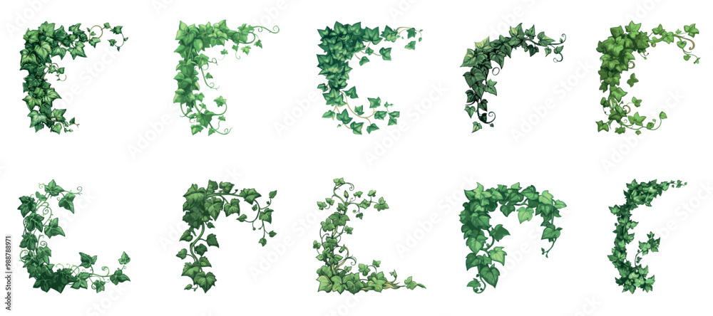 Ivy frame corners set. Liana climbing vine creeper plant green leaves ...