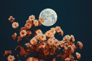 Poster - Full moon with flowers astronomy outdoors blossom.