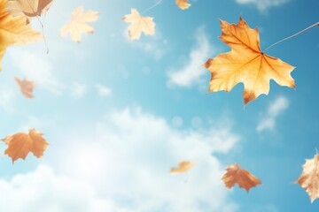 Wall Mural - autumn leaves against blue sky
