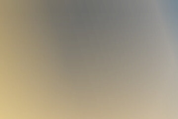 Poster - Abstract gray background with grainy gradient. Transparent dark gray light leak effect. Soft colors vector gradient background palette