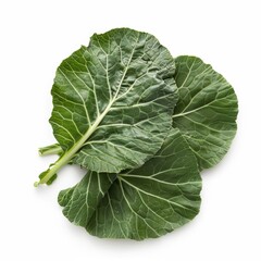 Cabbage leaves isolated on white background